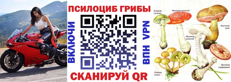 купить наркотики цена  Асбест  Галлюциногенные грибы Magic Shrooms 